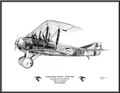 French ~ SPAD XIII (Colonel René Fonck) ~ Free Shipping