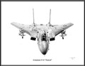 Grumman F-14 Tomcat (In-flight) ~ Free Shipping