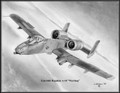 Fairchild Republic A-10 "Warthog" ~ Free Shipping