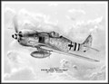 Focke Wulf ~ FW190-A8/R8 "Butcher Bird" (Oskar Boesch) ~ Free Shipping