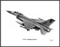 Generl Dynamics F-16C "Fighting Falcon" ~ Free Shipping
