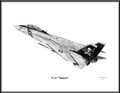Grumman F-14 "Tomcat" ~ Free Shipping