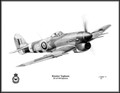 Hawker Typhoon ~ Free Shipping