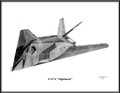Lockheed F-117A "Nighthawk" ~ Free Shipping