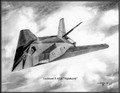 Lockheed F-117A "Nighthawk" ~ Free Shipping
