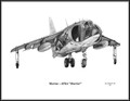 Hawker Siddeley AV-8A "Harrier" ~ Free Shipping
