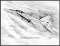 McDonnell Douglas F/A-18 "Hornet" ~ Free Shipping