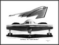 Northrop ~ B-2 "Spirit Bomber" ~ Free Shipping