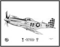 North American P-51D Mustang (Maj. Herschel H. Green) ~ Free Shipping