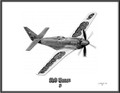 "Red Baron" RB-51 Unlimited Air Racer ~ Free Shipping