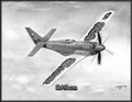 "Red Baron" RB-51 Unlimited Air Racer ~ Free Shipping