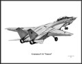 Grumman F-14 "Tomcat" (Launch) ~ Free Shipping