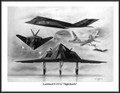 Lockheed F-117A "Nighthawk" (Montagé) ~ Free Shipping
