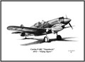 Curtiss P-40C "Tomahawk" ~ AVG ~ Free Shipping