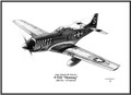 North American P-51D ~ "Little Lady" ~ Free Shipping