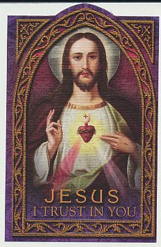 Divine Mercy Holy Card TCHC1219