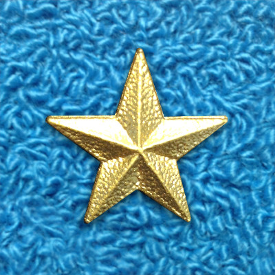 Captain Star Pin - Phoenix Lettering