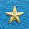 Captain Star Pin