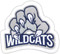 Wildcats