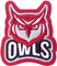 Owls