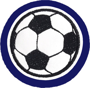 Vinyl Soccer Ball