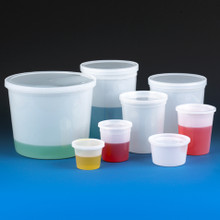 Multi-Purpose Translucent Containers with Snap on Lid
