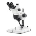 Front view of the Euromex NexiusZoom series stereo microscope model ENZ-1703-P.