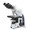 Euromex iScope Series Compound Microscope Model EIS-1152-PLI.