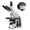 Euromex iScope Series Compound Microscope Model EIS-1153-PLI-HDS.