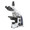 Euromex iScope Series Compound Microscope Model EIS-1153-PLPHI​.