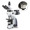  Euromex iScope Series Polarizing Compound Microscope with HD-Mini Camera.