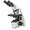 Euromex bScope Series Compound Microscope Model EBS-1152-PLI.