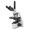 Euromex bScope Series Compound Microscope Model EBS-1153-PLI.