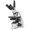 Euromex bScope Series Compound Microscope Model EBS-1153-PLPHI.