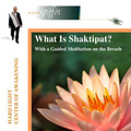 What Is Shaktipat? - mp3