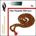 Om Namah Shivaya - MP3
