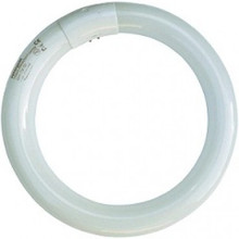 Aura Replacement Lamp - Blue UV Light 