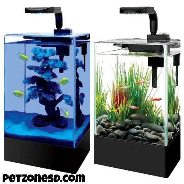 2.5 & 5 gallon desktop aquarium