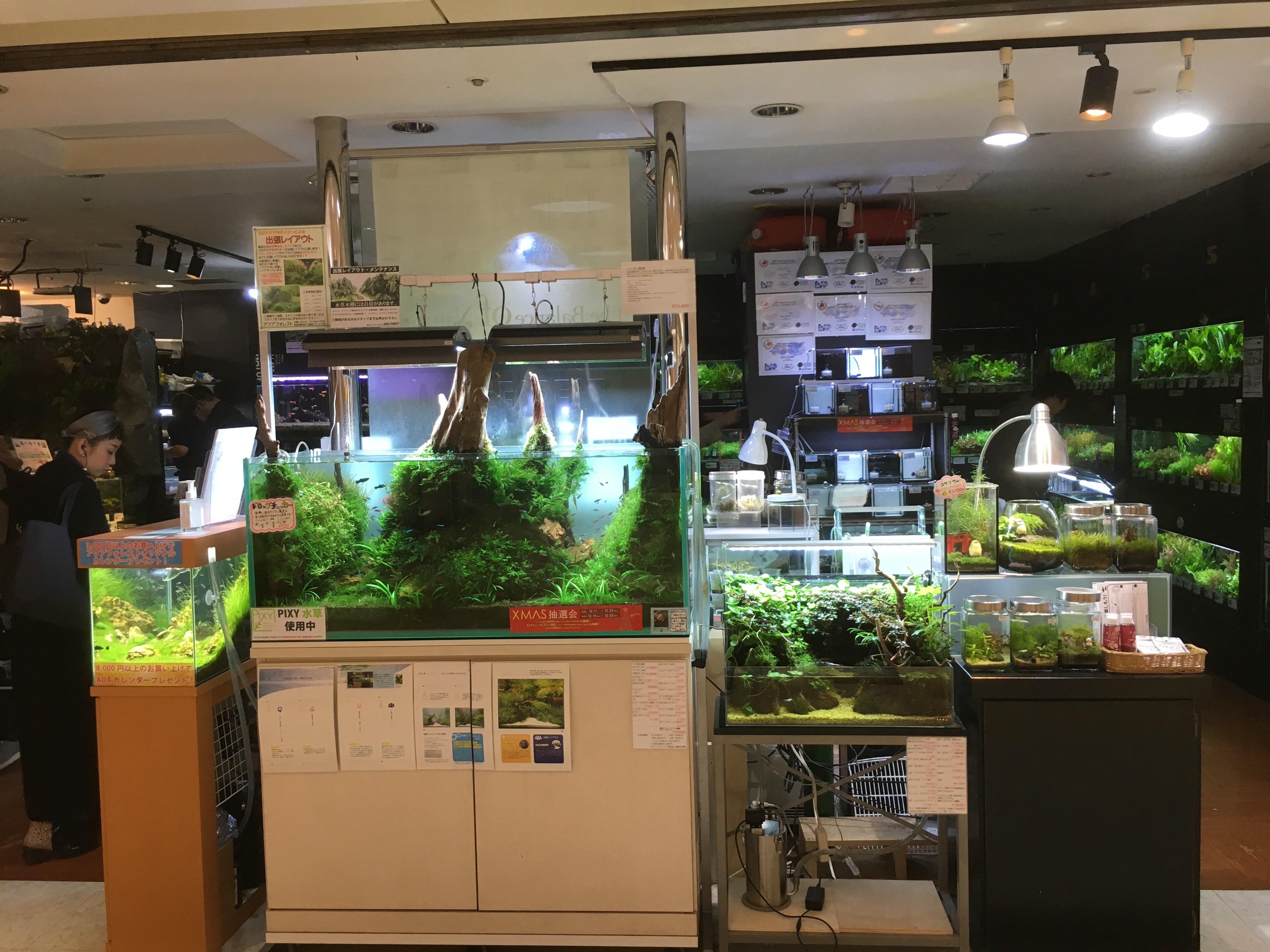 aquascape fish store