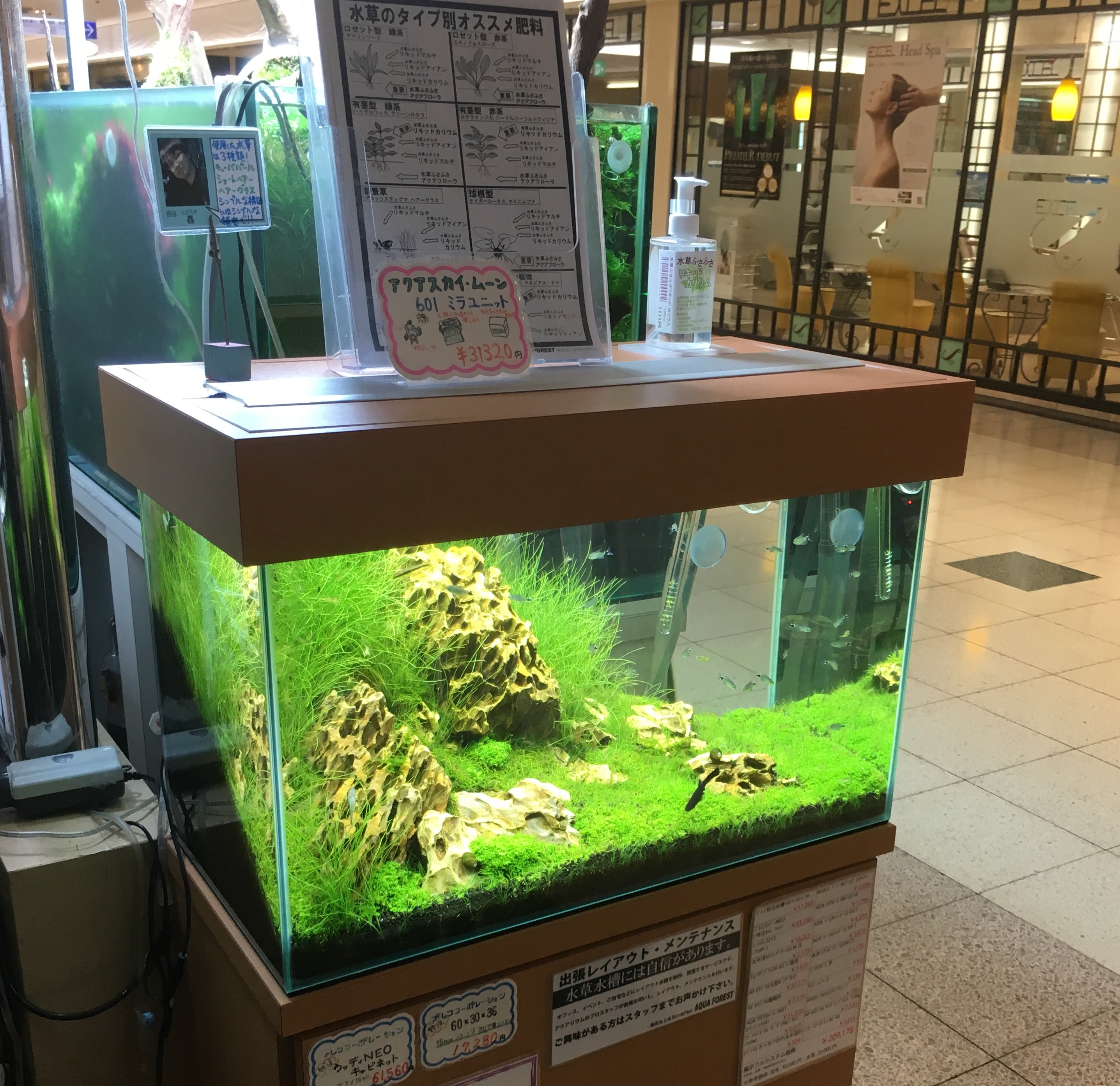 Visited Aquascape Local Fish Stores In Asia Pet Zone Tropical