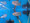 Leichardti Arowana (Saratoga): Leichardti Spotted ...