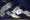 Freshwater Tropical Fish: Blue Hook Silver Dollar (Black-barred Myleus