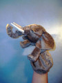 Elephant Hand Puppet
