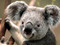 This is a test description.