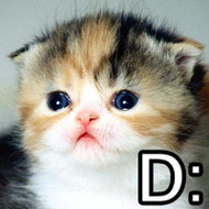 URL Testing