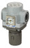 PneumaticPlus SAR400 Series Air Pressure Regulator 1/2" NPT with Bracket & Gauge (SAR400-N04BGS)