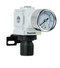 PneumaticPlus PPR2-N2BG-4 Air Pressure Regulator 1/4" NPT (3-60 PSI) with Gauge & Bracket