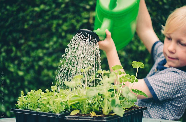 Simple Steps to Reduce Your Household's Water Consumption This Summer