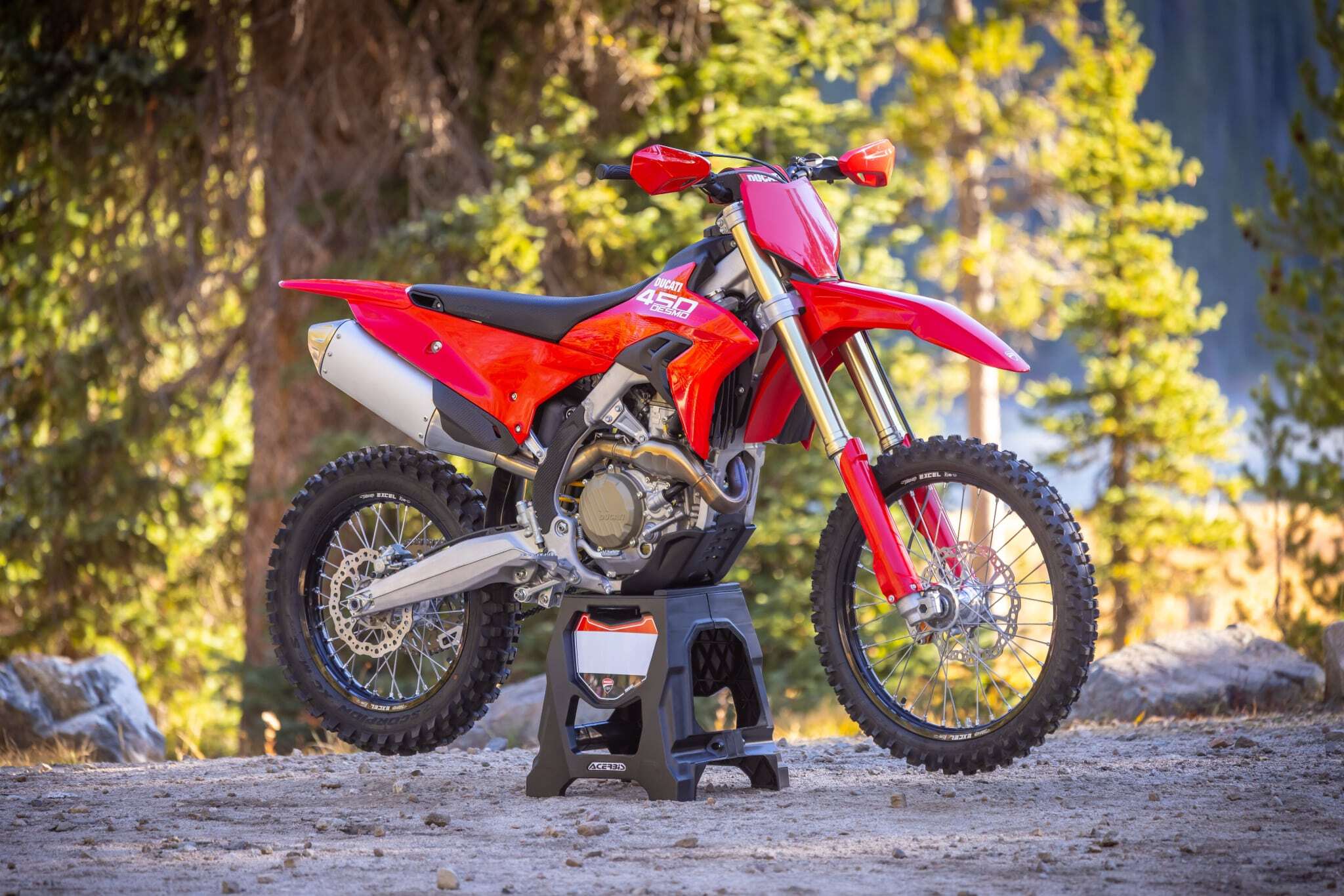 ducatidesmo450edx2025-04-uc854184-high-scaled.jpg