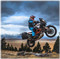 JBI Suspension Pro Valve (KTM 1290 Super Adventure R) Jump Wheelie